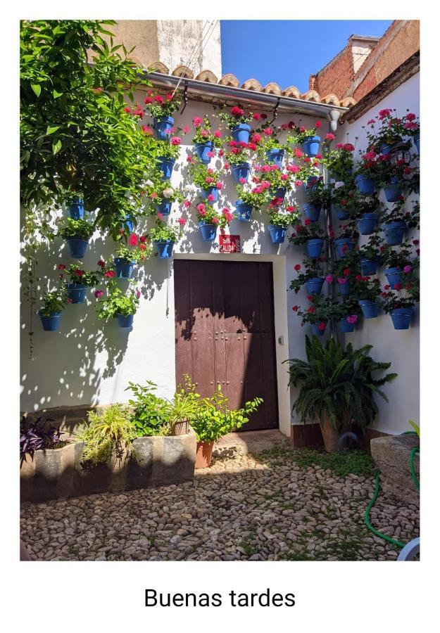 Casa Rural "Laplaza23" Herrera del Duque Exteriör bild