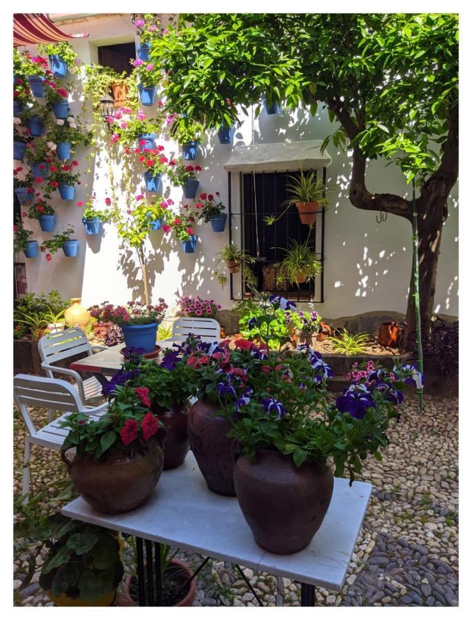 Casa Rural "Laplaza23" Herrera del Duque Exteriör bild